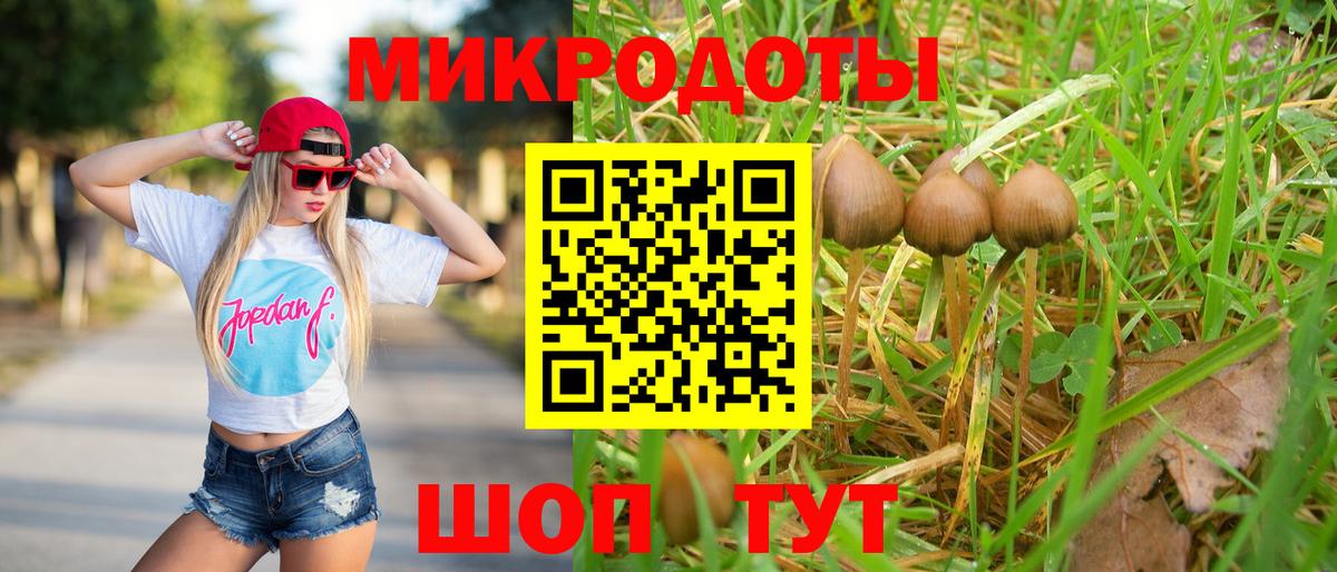Сосновоборск  Псилоцибиновые грибы ЛСД  Вход с VPN 