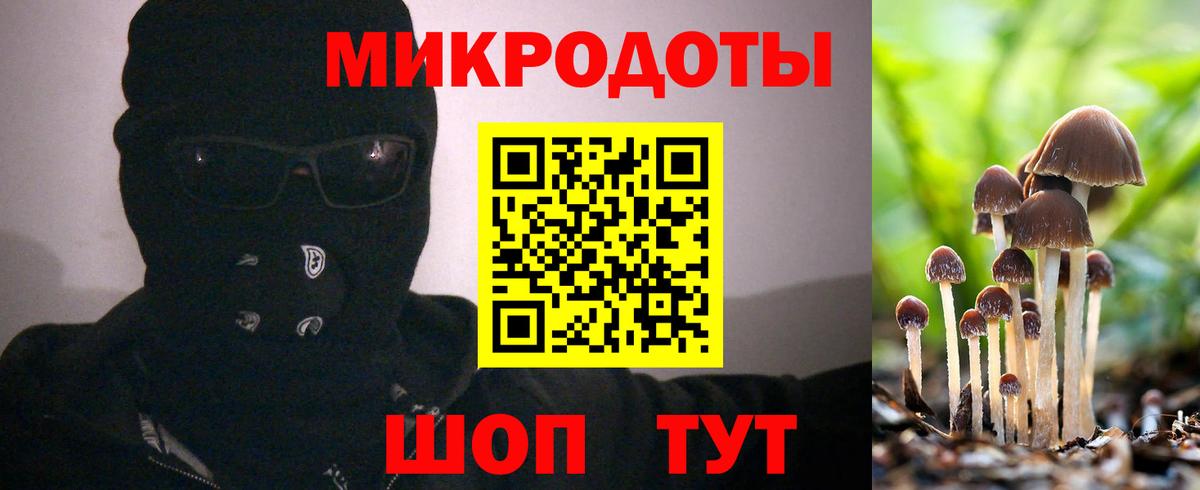 Галлюциногенные грибы Cubensis Сосновоборск
