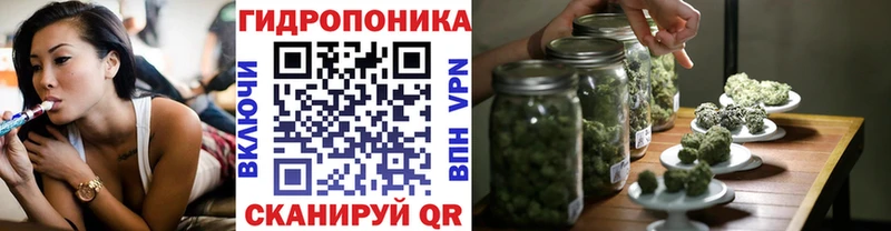 Бошки Шишки VHQ сколько стоит Сосновоборск